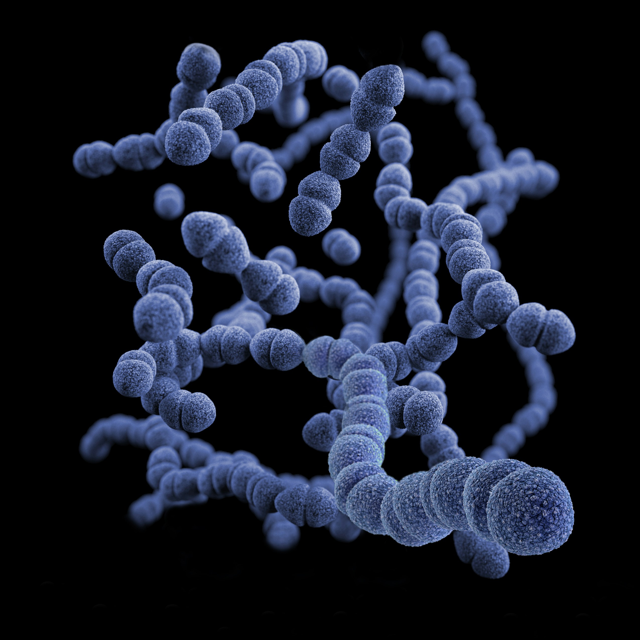 Bacteria image.